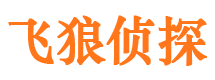 鸠江寻人公司